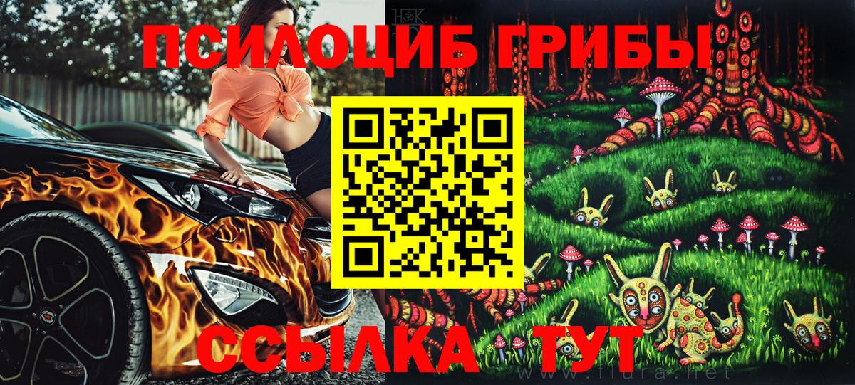 Гусиноозёрск  Псилоцибиновые грибы Psilocybine cubensis  где найти   Вход с VPN 